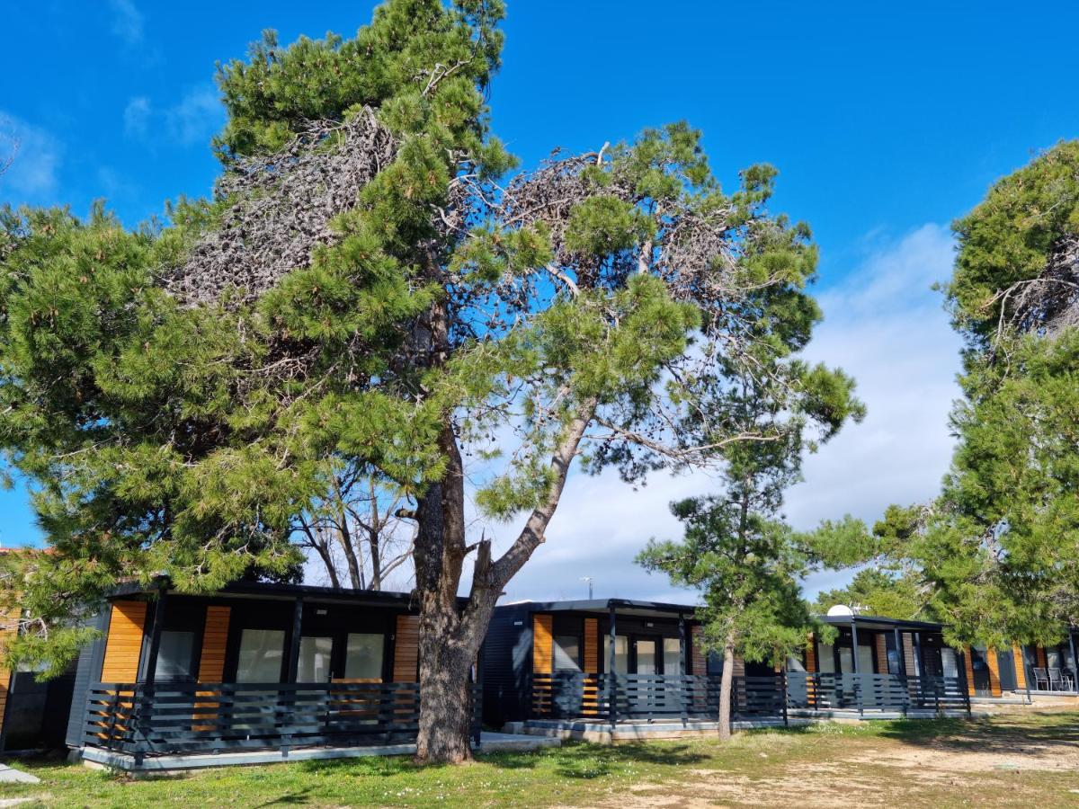 K9 Mobile Home Sand&Relax Privlaka Privlaka  Esterno foto