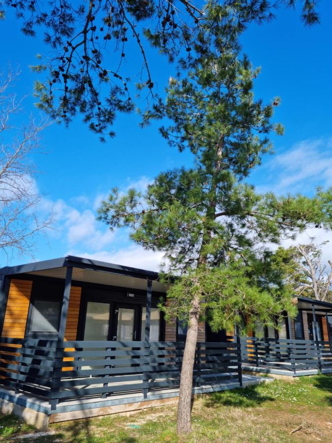K9 Mobile Home Sand&Relax Privlaka Privlaka  Esterno foto